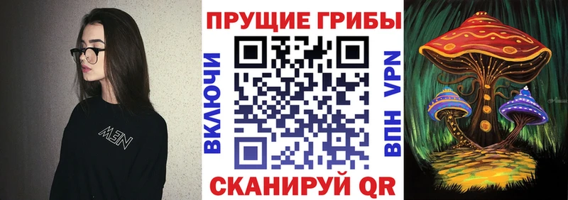 Псилоцибиновые грибы прущие грибы  Пласт 